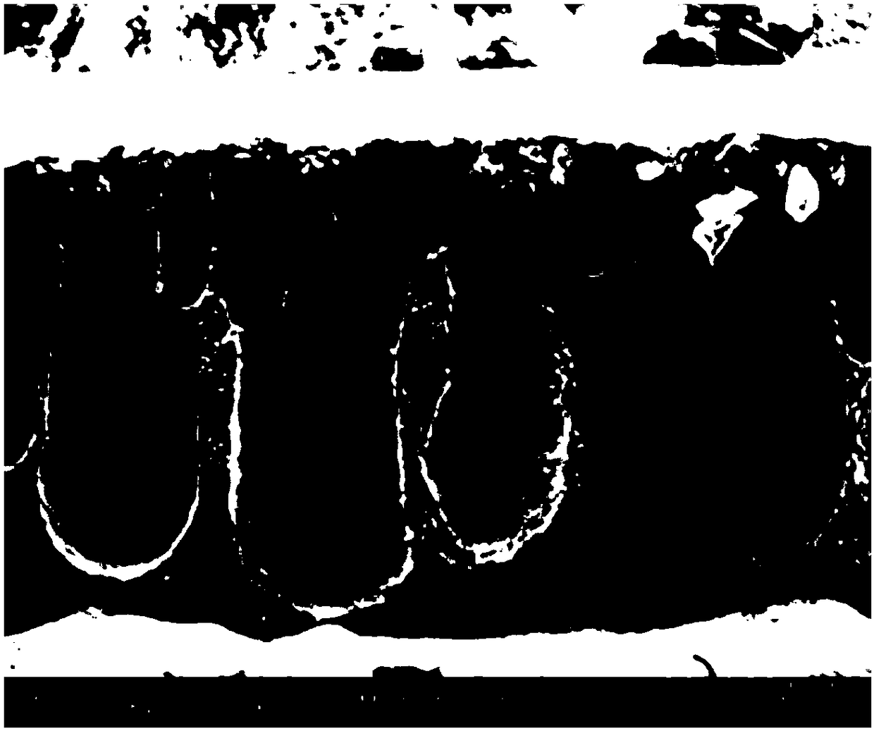 Anti-pollution ultrafiltration membrane of amino acid grafted composite cellulose and preparation method thereof