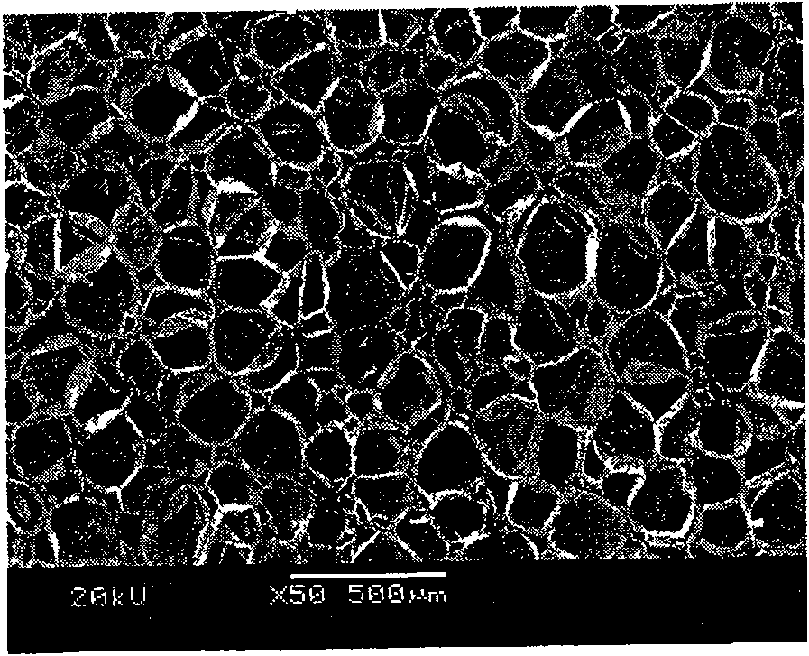 Method for increasing EVA/PE blending foaming material performance by ozone oxidization