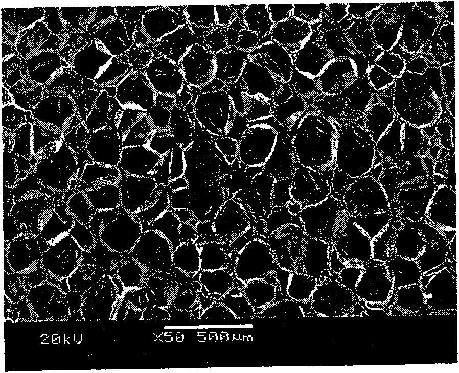 Method for increasing EVA/PE blending foaming material performance by ozone oxidization