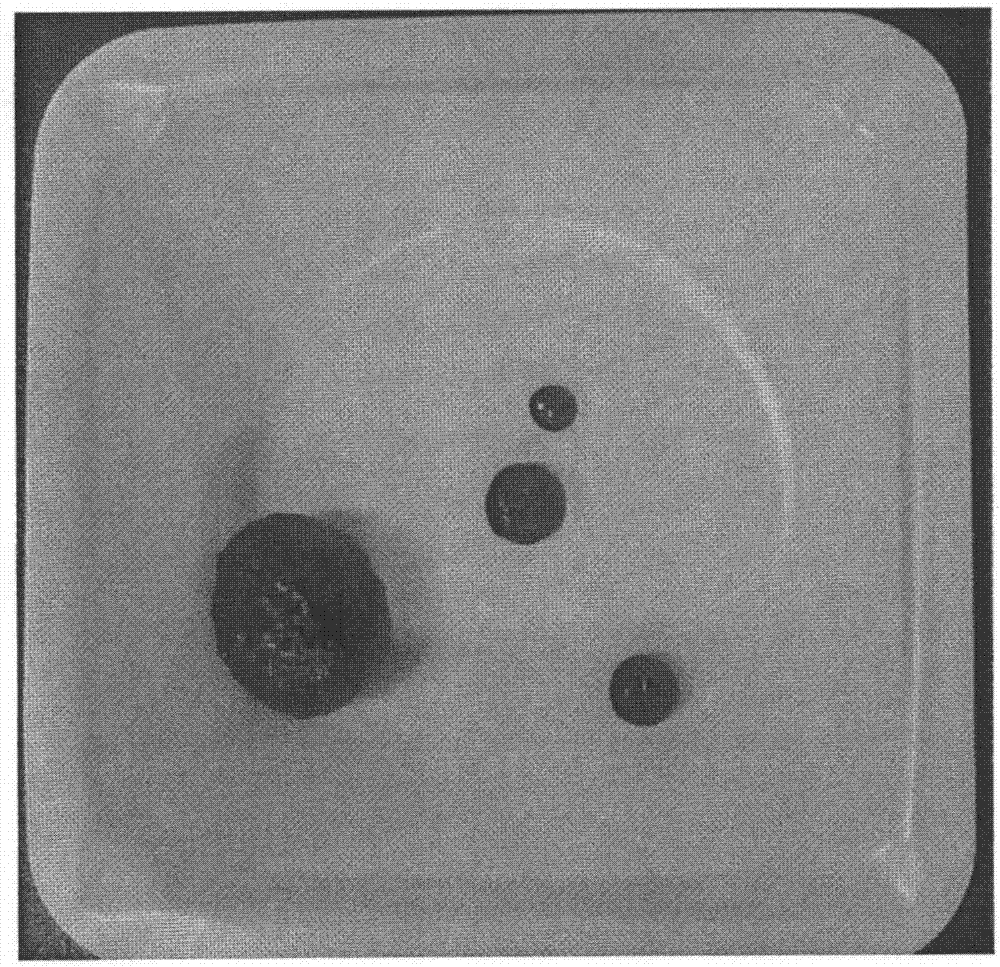 Method for preparing magnetic metal adsorption materials from spherical bacterial celluloses