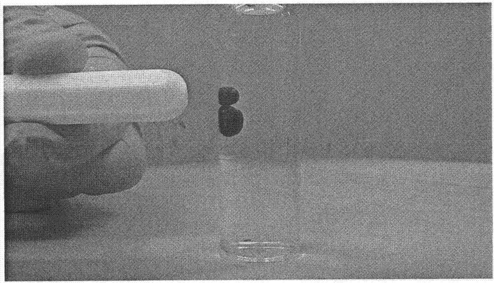 Method for preparing magnetic metal adsorption materials from spherical bacterial celluloses