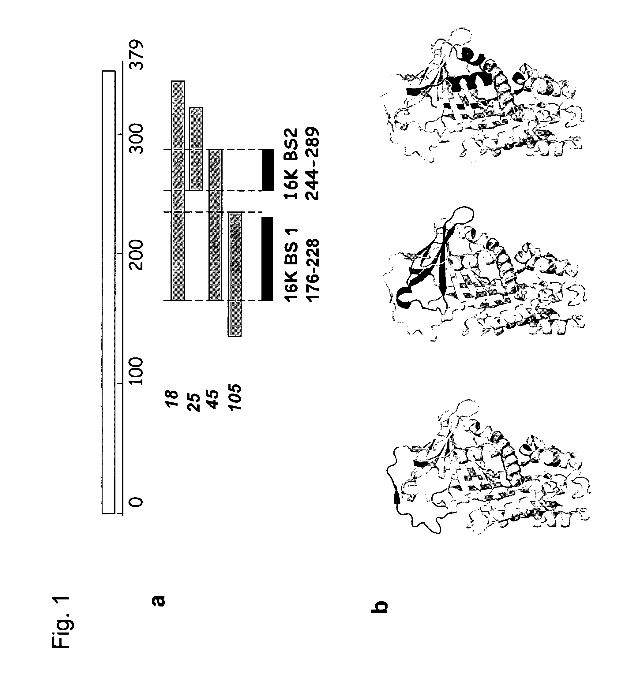 Pharmaceutical composition for treatment of thrombosis-related diseases comprising a fragment of prolactin (PRL)-growth hormone (GH)-placental lactogen (PL)-family protein