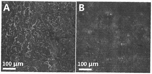 Universal liquid perfusion lubricating coating and preparation method thereof