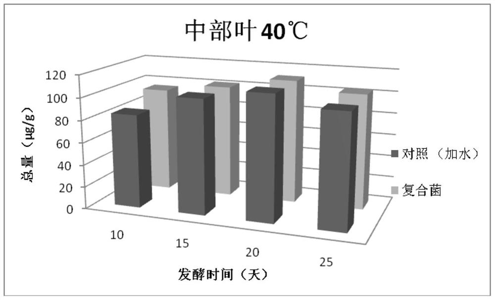 A kind of compound bacterial agent and its application in the alcoholization of tobacco leaves