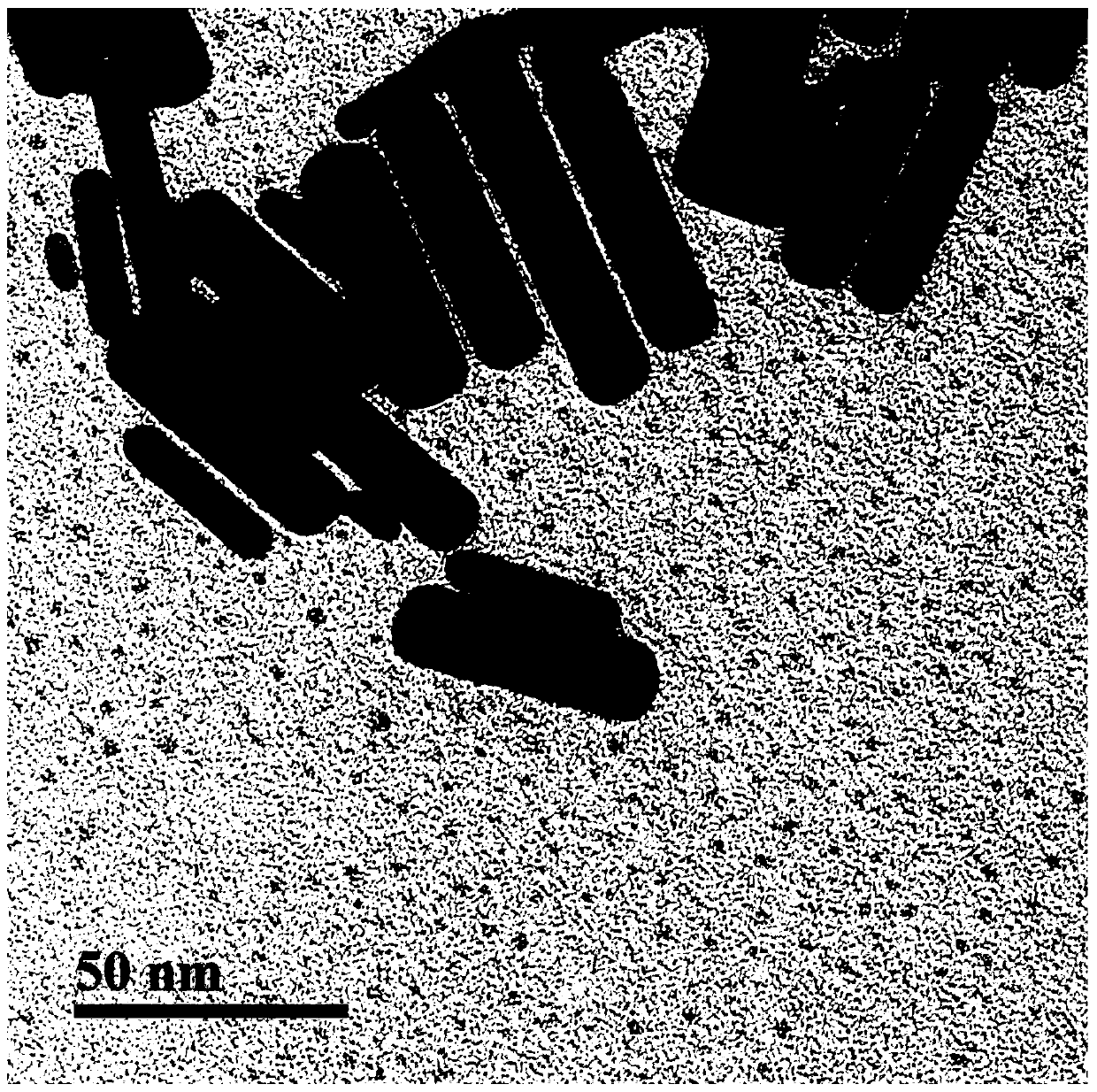 APD hybrid nano system as well as construction method and application thereof