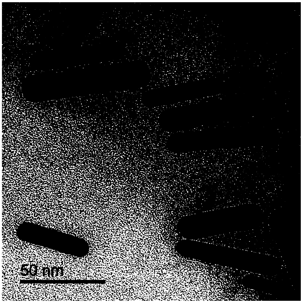 APD hybrid nano system as well as construction method and application thereof