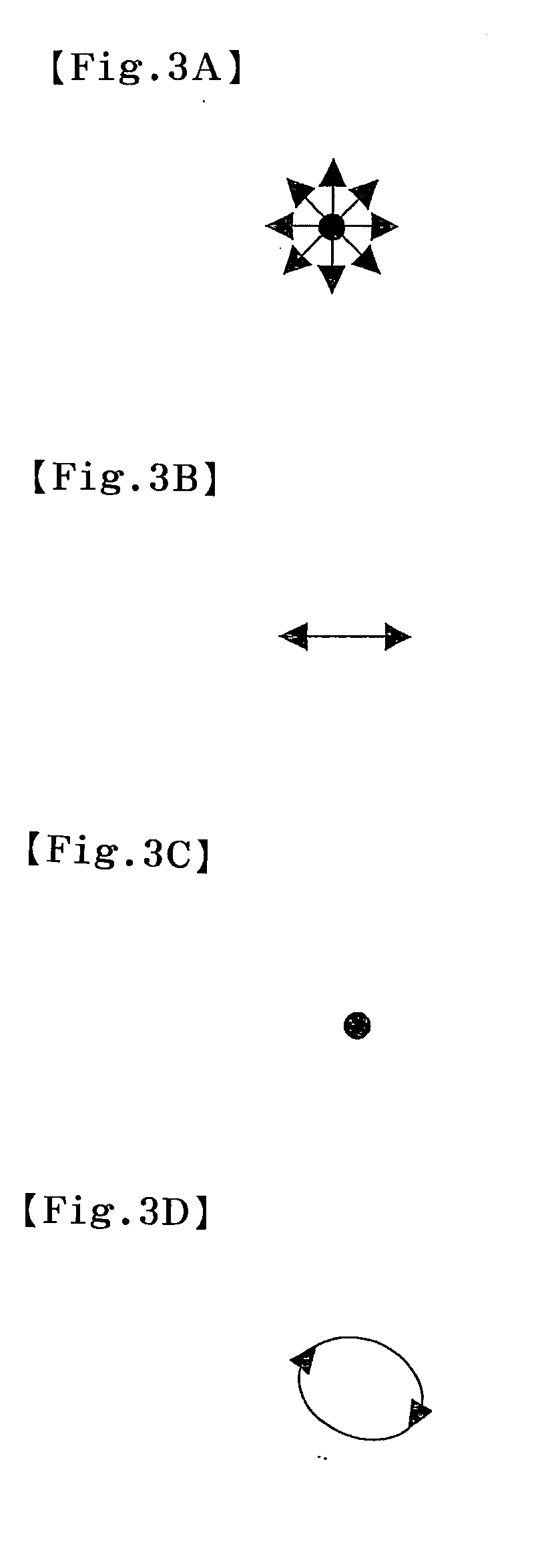 Image display device