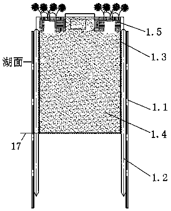 Cofferdam type micro-nano molecular sieve algae-water co-treatment system for collecting cyanobacterial bloom in situ