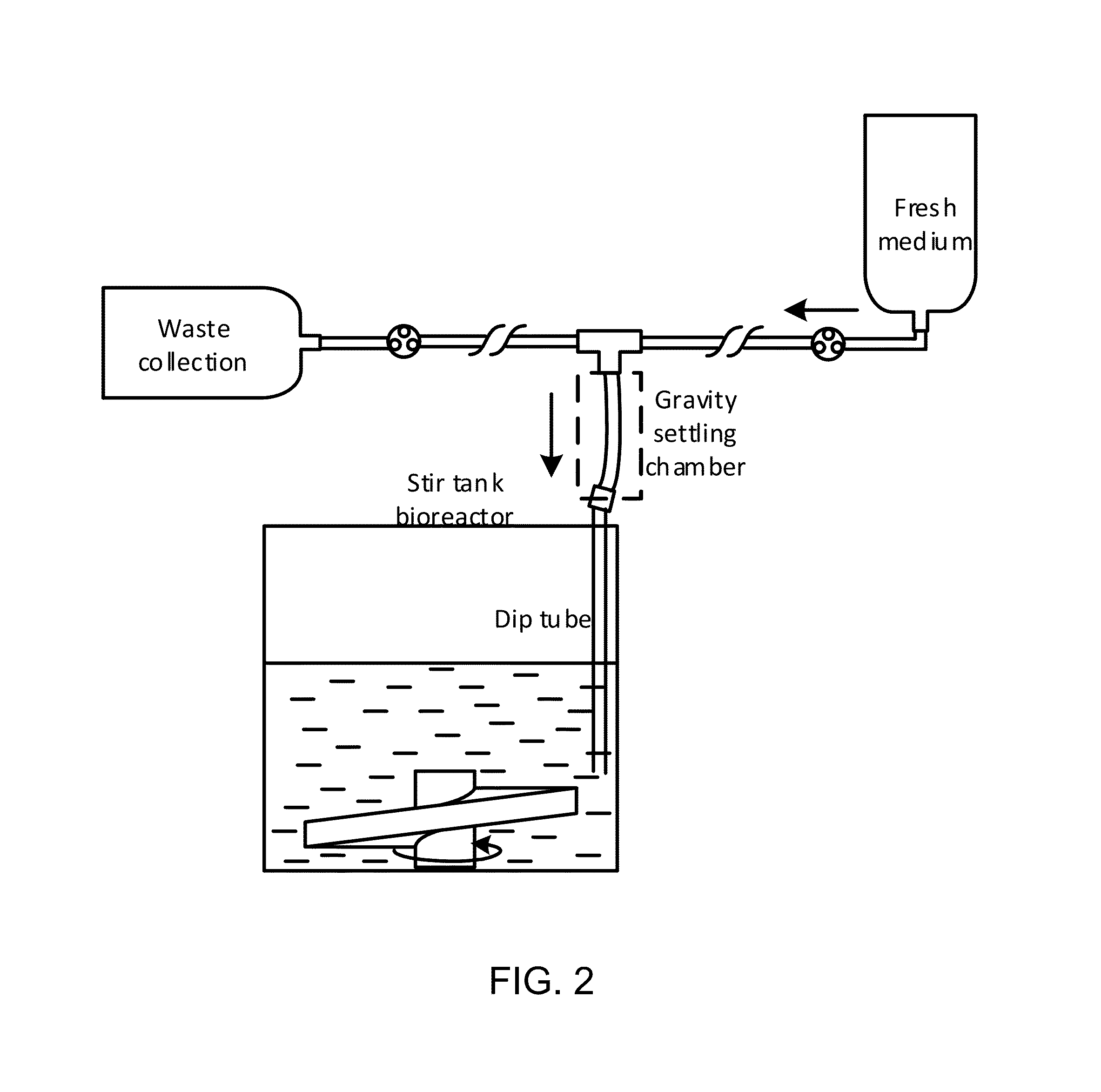 Pluripotent stem cell expansion and passage using a stirred tank bioreactor