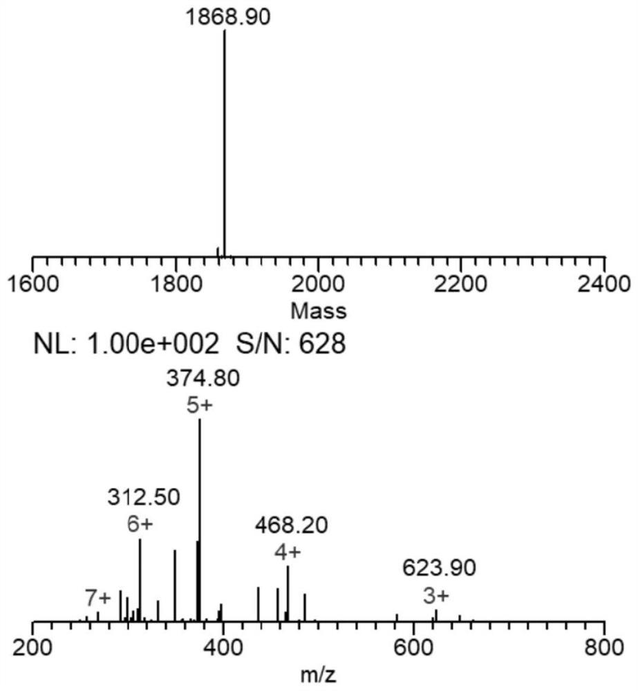 Polypeptide-manganese-carbonyl compound CO releasing molecule taking phenylazo pyridine as ligand as well as synthesis method and application of polypeptide-manganese-carbonyl compound CO releasing molecule