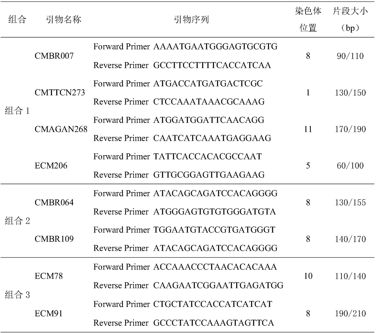 High-flux identification method for purity of Xinjiang thick-peel muskmelon Huangpi 9818 hybrid variety based on SSR molecular marker