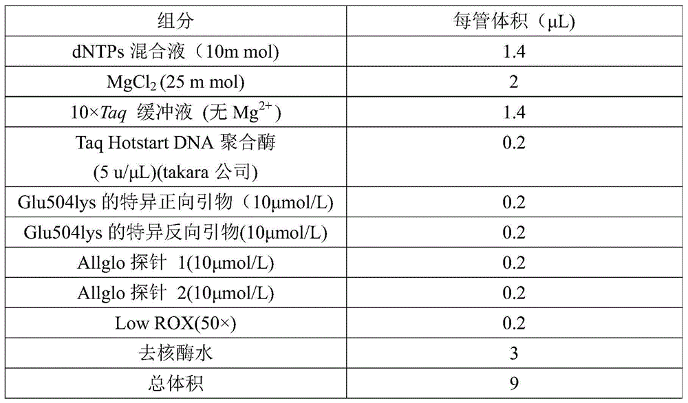 Glu504lys detection genotyping kit based on AllGlo probe and genotyping method thereof