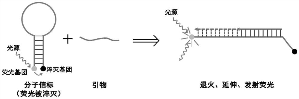 Taq DNA polymerase monoclonal antibody combination as well as reaction system and application thereof