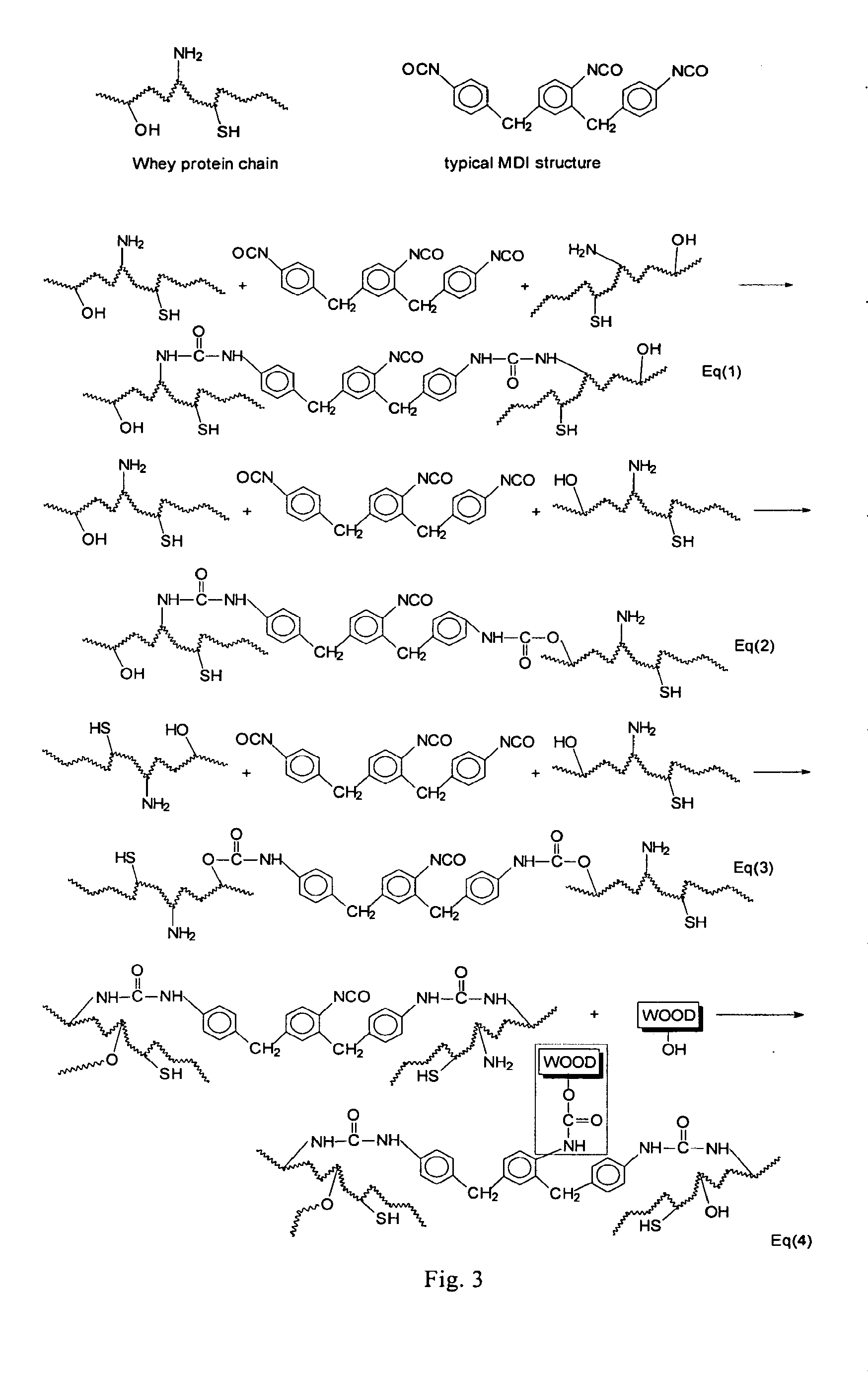 Whey-protein based environmentally friendly wood adhesives and methods of producing and using the same