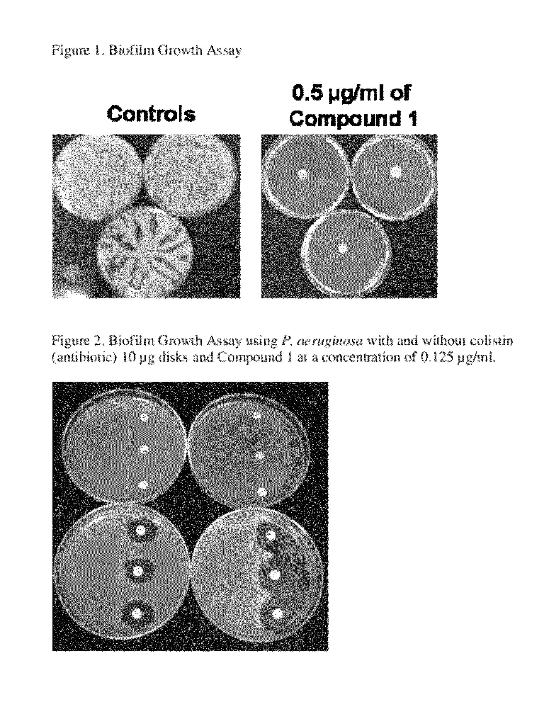 Inhibitors of bacterial biofilms and related methods