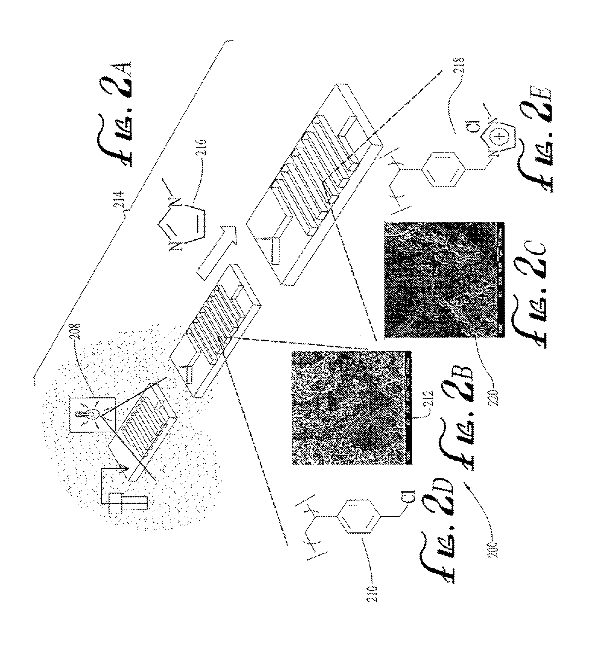 Polymer monoliths for solvent exchange in continuous flow microfluidic device