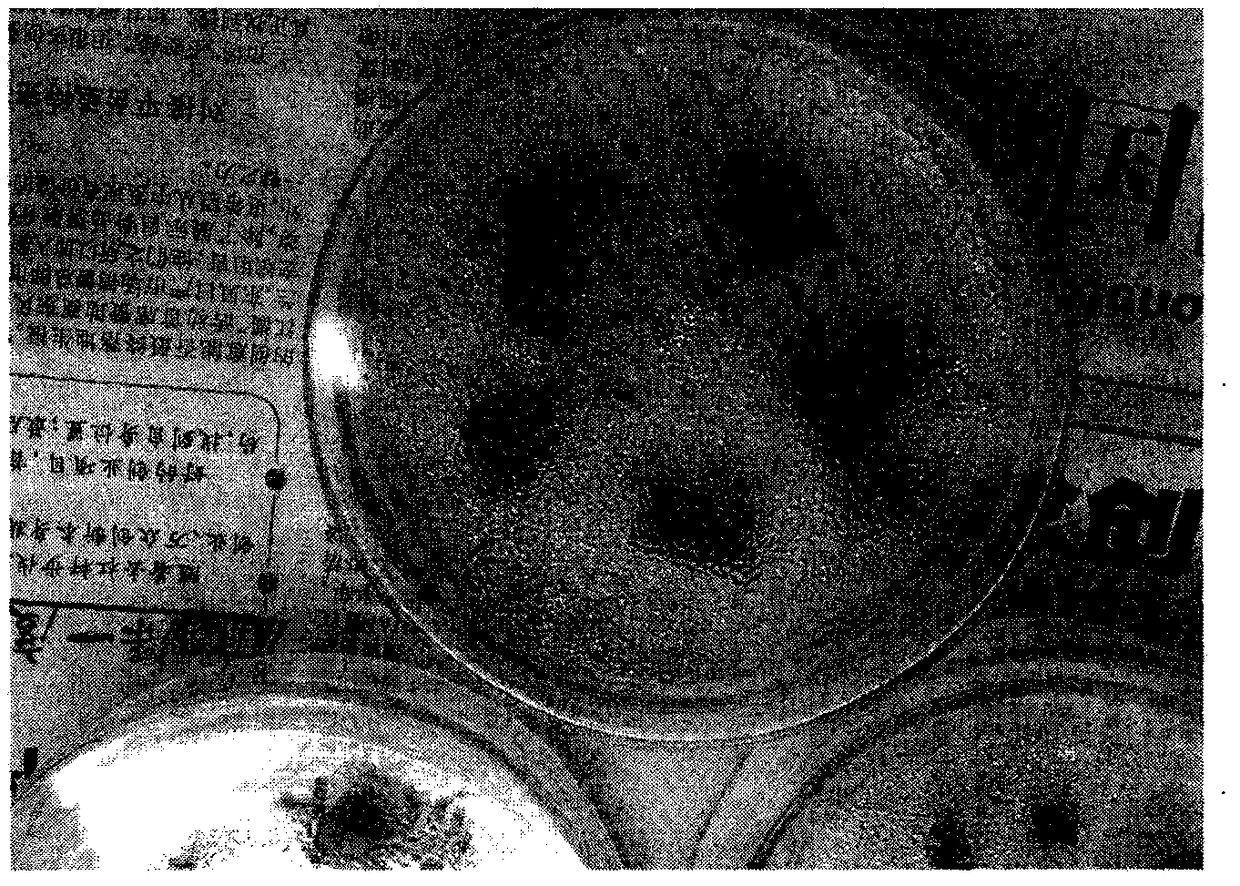 Method for improving RA content of stevia rebaudiana through in-vitro culture