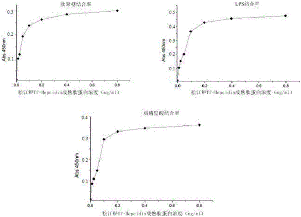 Trachidermus fasciatus Tf-Hepcidin gene, Trachidermus fasciatus mature peptide protein and application thereof