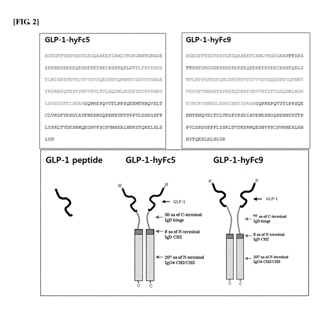 Fusion polypeptide containing GLP and immunoglobulin hybrid fc and use thereof