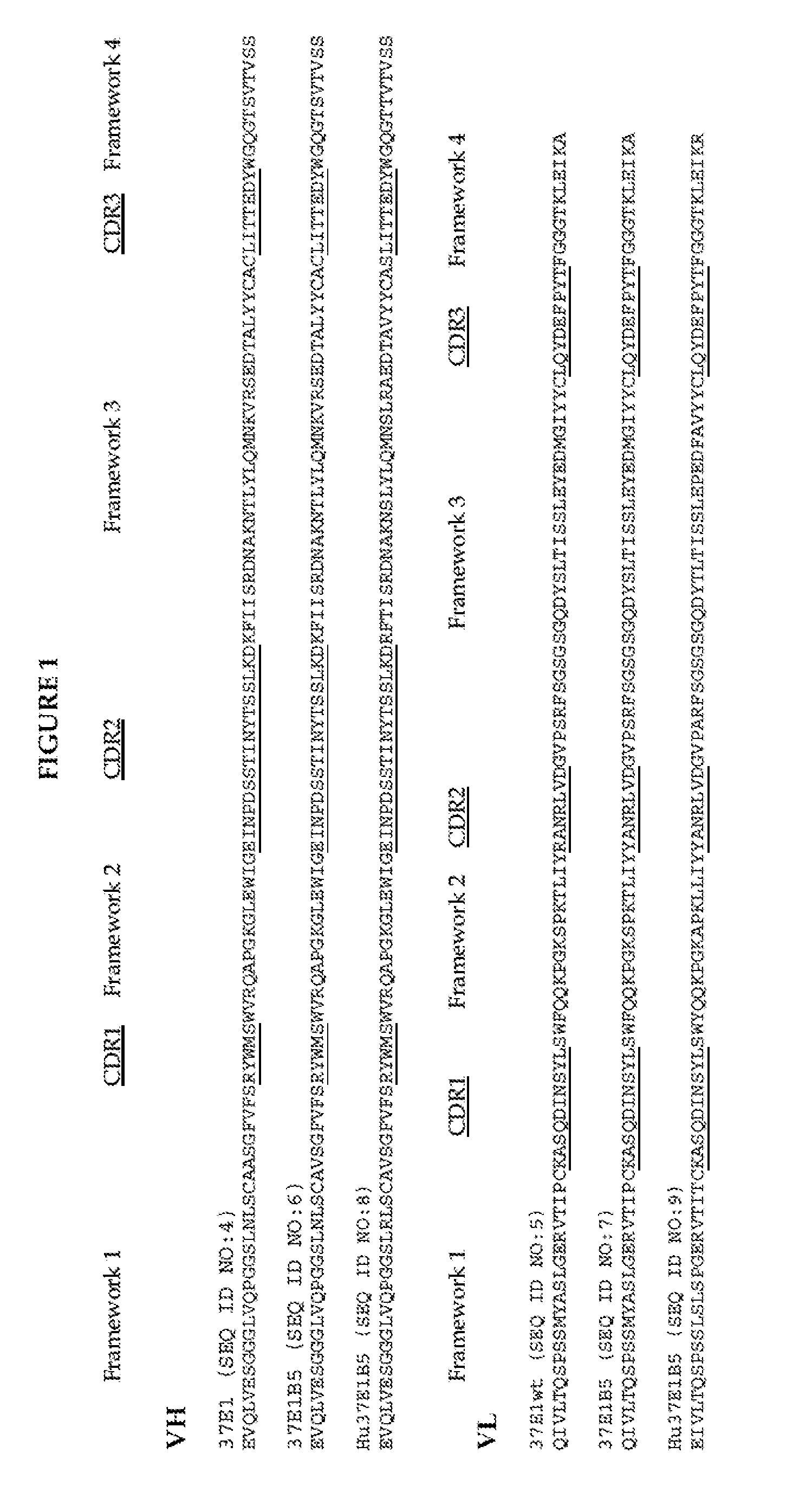 Antibodies that bind integrin alpha-v beta-8