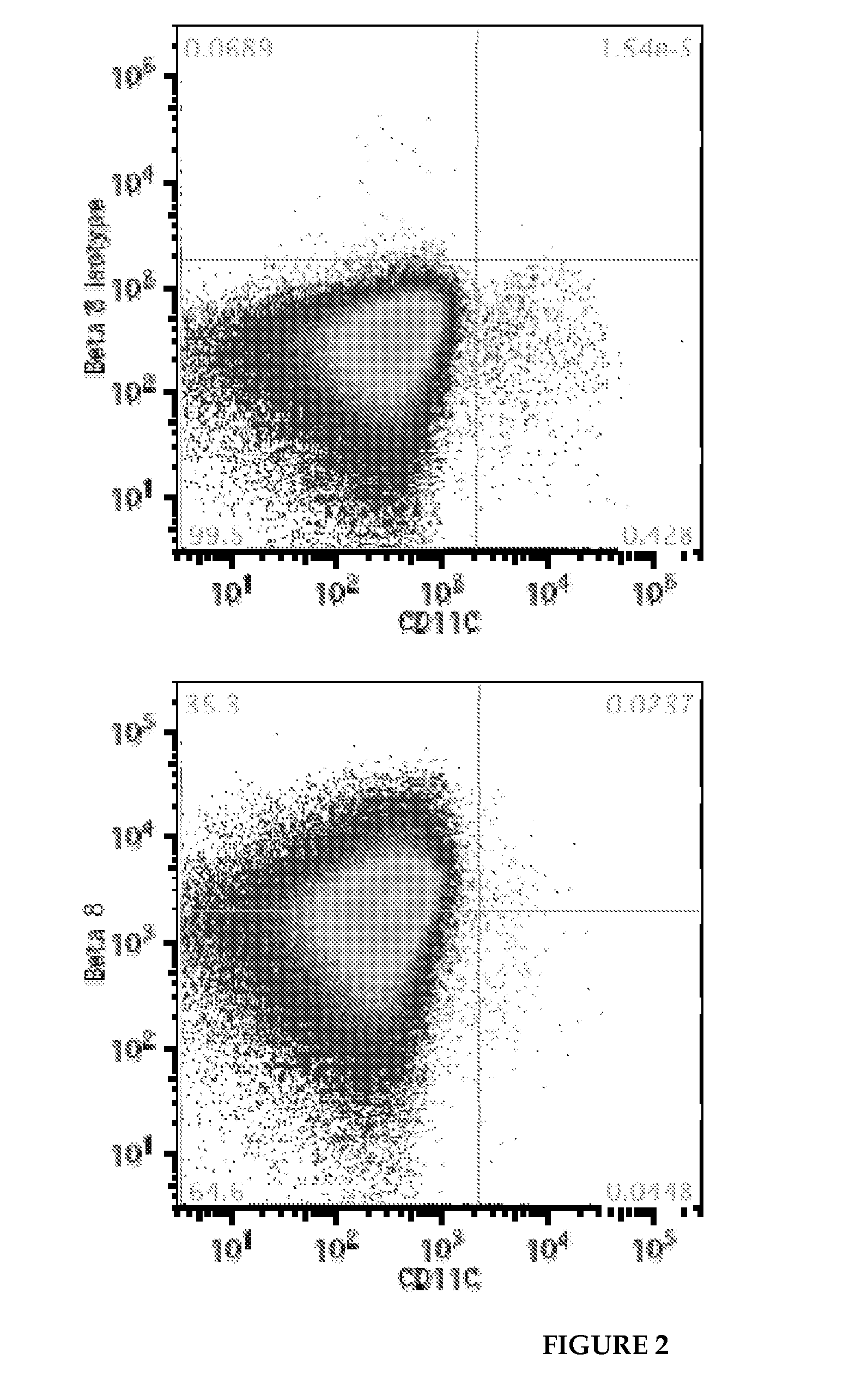 Antibodies that bind integrin alpha-v beta-8