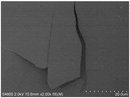 A kind of growth method of zno single crystal nano sheet