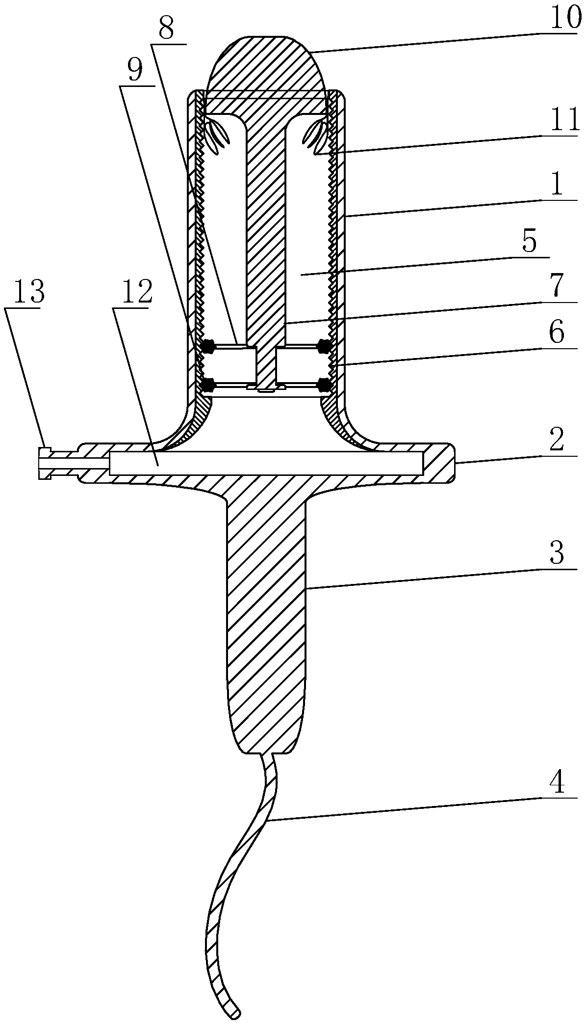 Remote gynecological consultation system