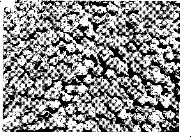 Fruit herbicide and preparation thereof