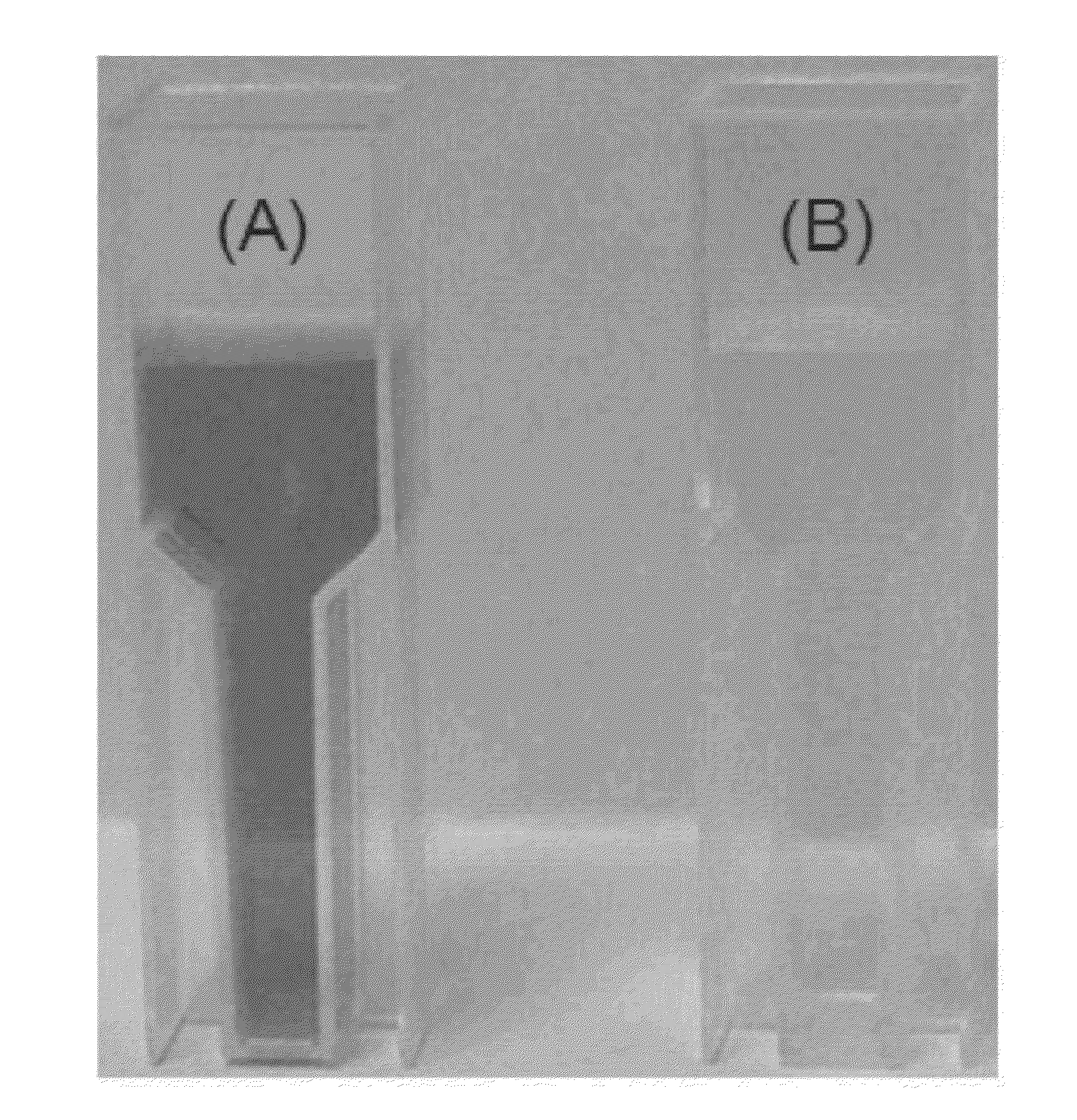 Method and apparatus for enhanced photocatalytic oxidative decolorization of wastewater containing reactive anthraquinone dye