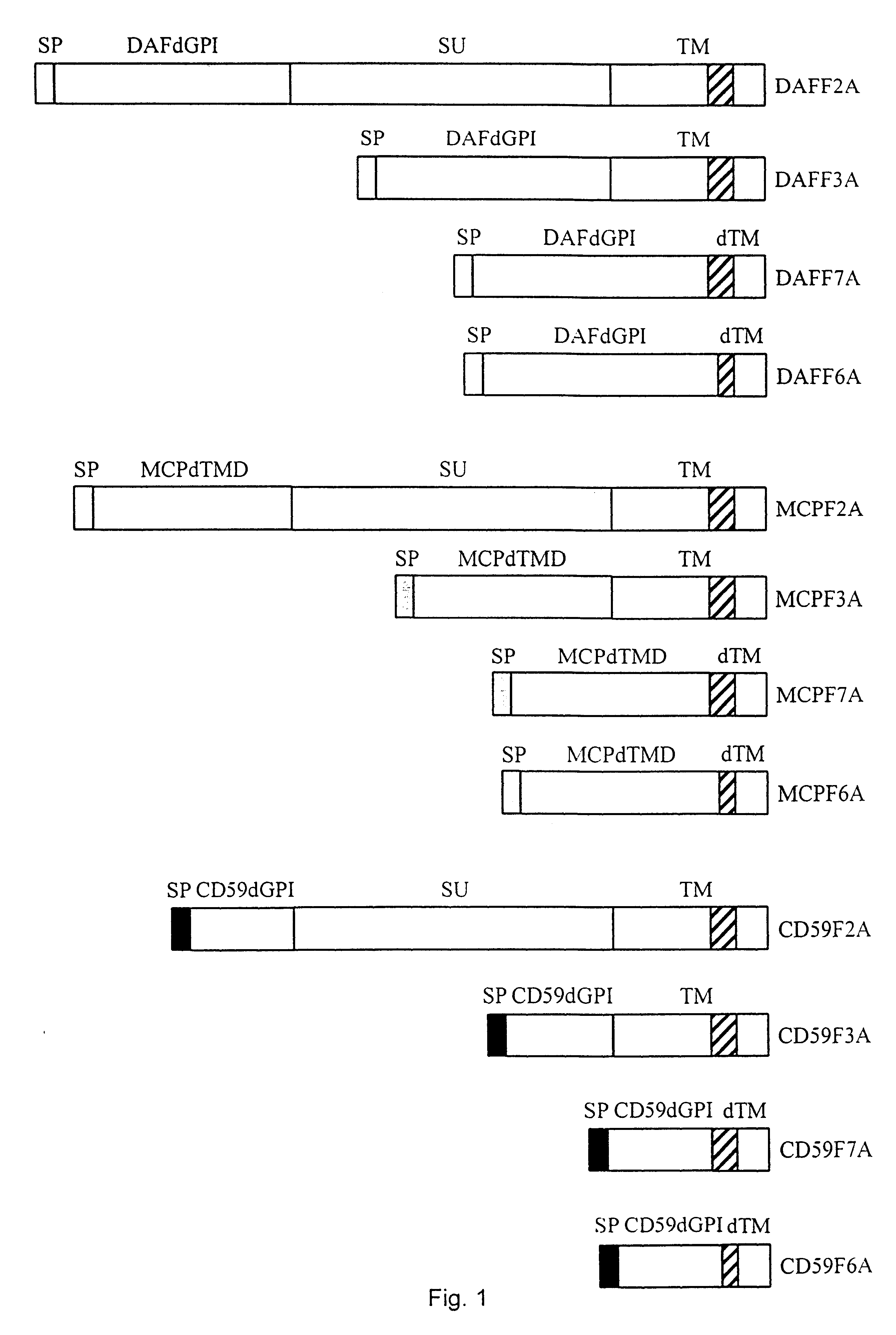 Development of viruses resistant to inactivation by the human complement system