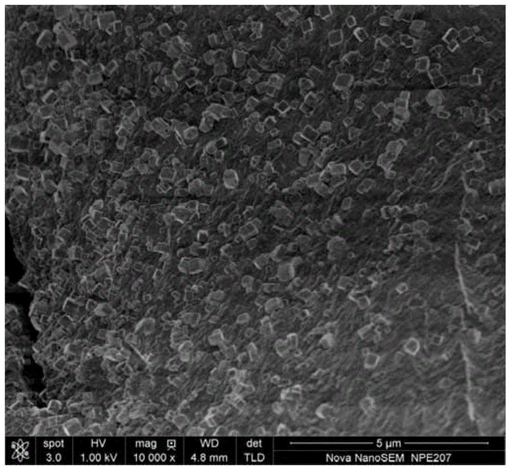 Sodium polyacrylate in situ growth of Prussian blue nanocrystal composites and preparation method and application thereof