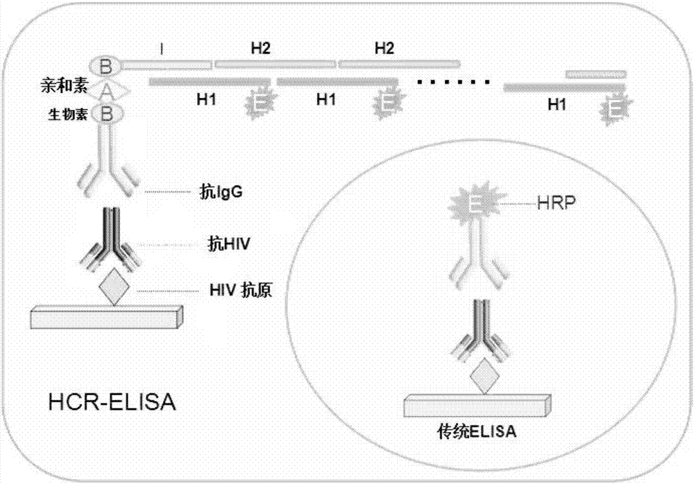 A non-diagnostic HIV antibody immunoassay method and kit