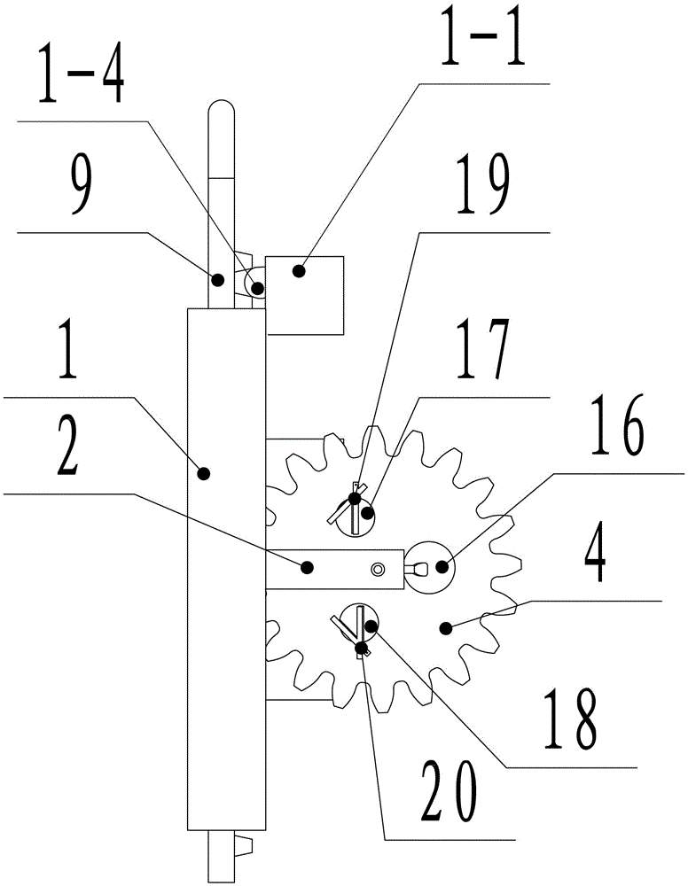 Device for ultrasonic inspection of fixed mouse body