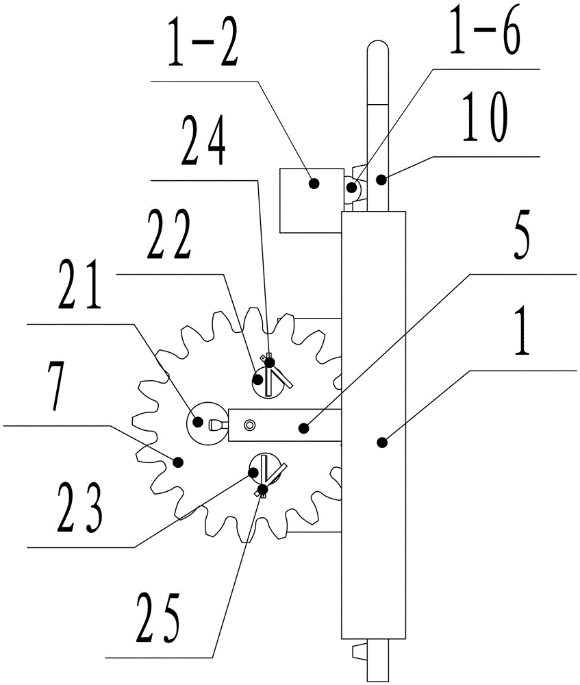 Device for ultrasonic inspection of fixed mouse body