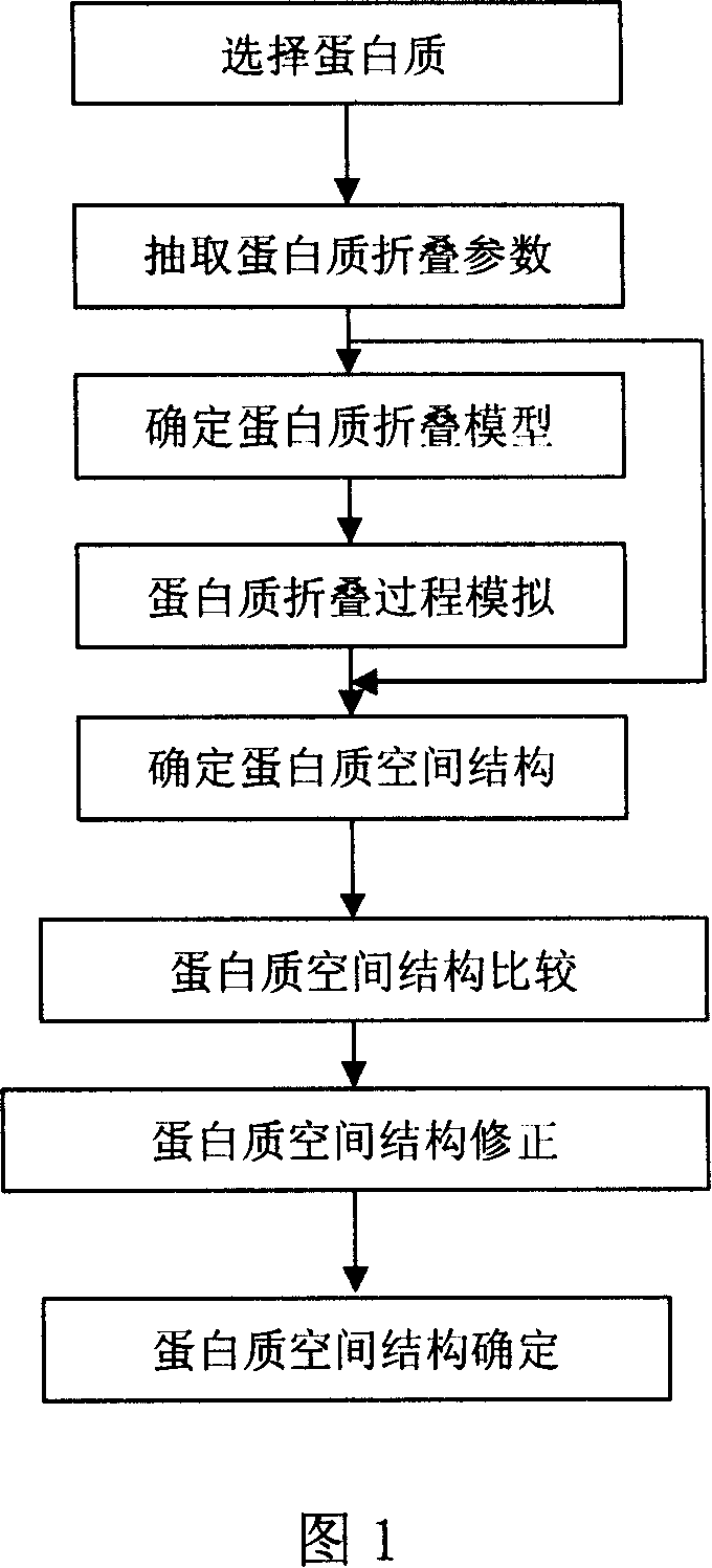 Computer simulation method for protein folding procedure based on synthesis algorithm