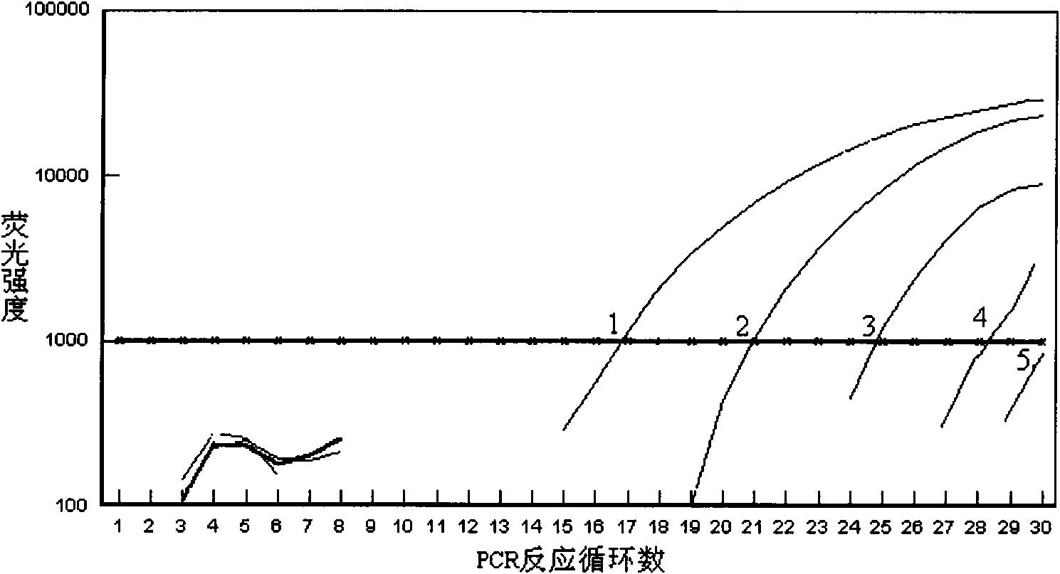 Dual temperature rapid cycling fluorescence quota PCR method for detecting telomerase activity and kit