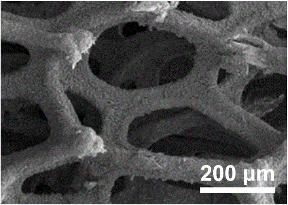 Preparation method of alkali oxygen evolution reaction electrocatalyst