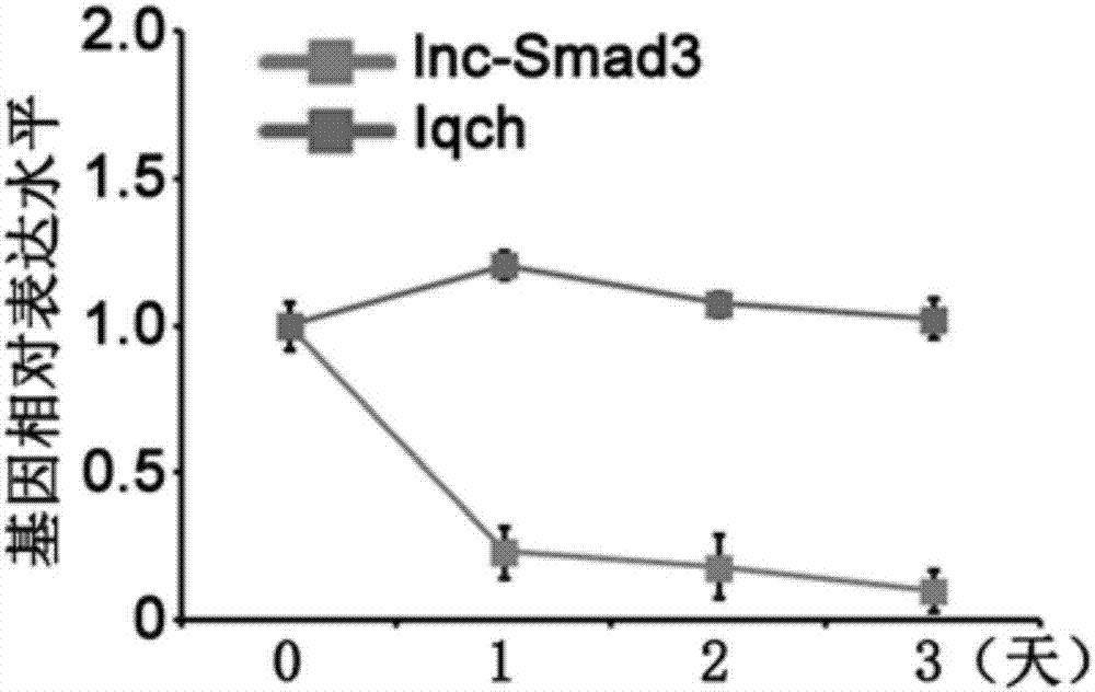 Specific biomarker of initial CD4&lt;+&gt;T cell and/or regulatory T cell differentiated from initial CD4&lt;+&gt;T cell