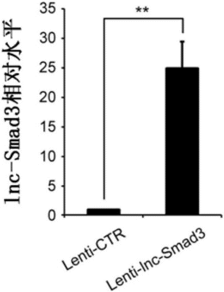 Specific biomarker of initial CD4&lt;+&gt;T cell and/or regulatory T cell differentiated from initial CD4&lt;+&gt;T cell