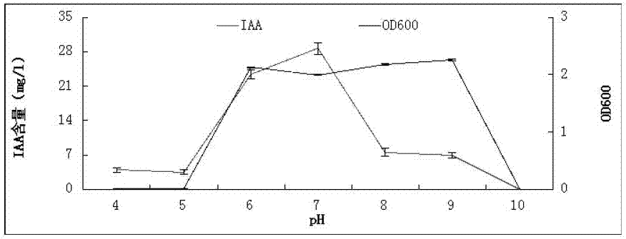 A kind of tobacco rhizosphere growth-promoting bacteria tc6 and its application