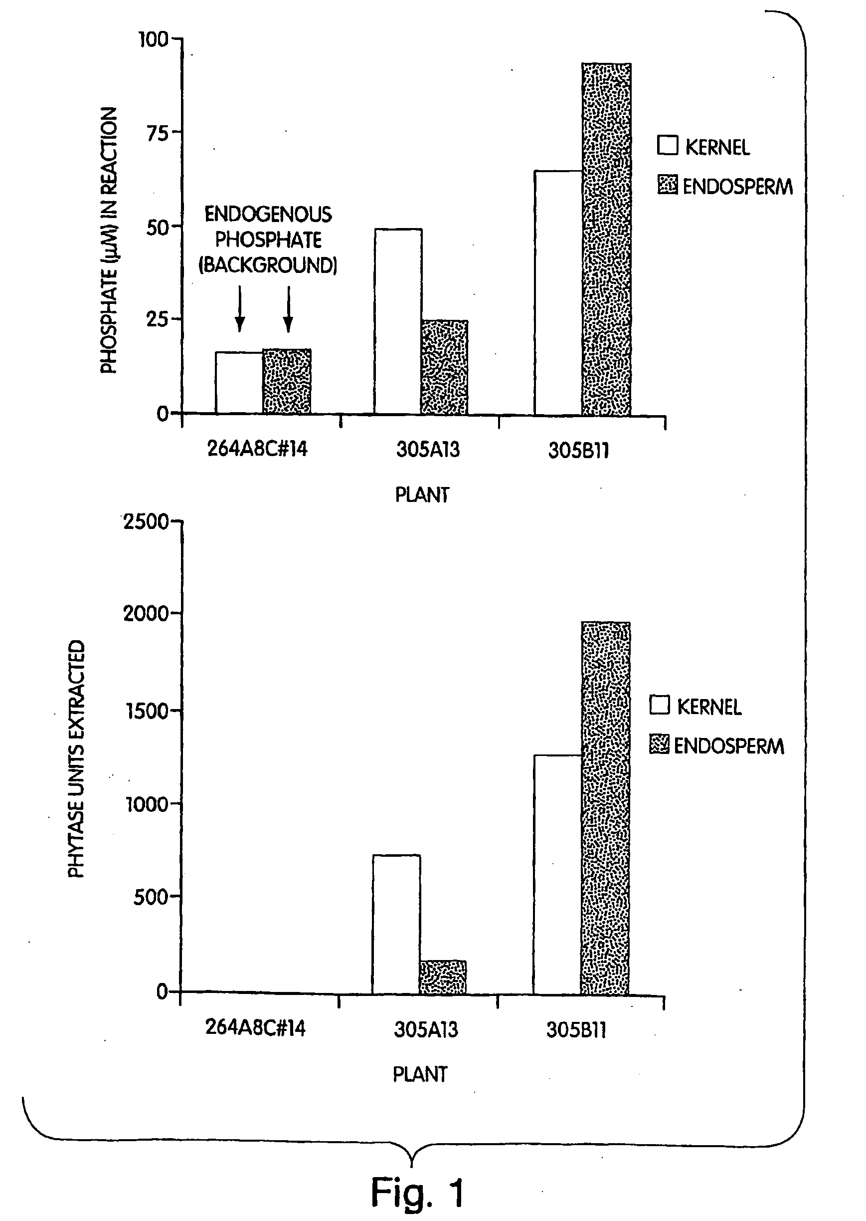 Thermotolerant phytase for animal feed