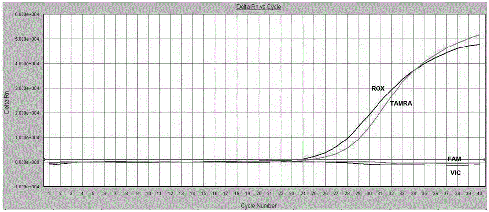 Reagent kit for multi-channel fluorescent PCR detection of polymorphism of IL28B gene loci