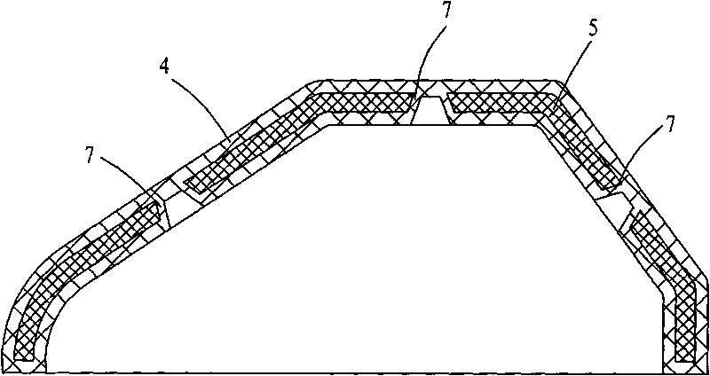 Process for manufacturing and molding double-layer plastic vehicle body