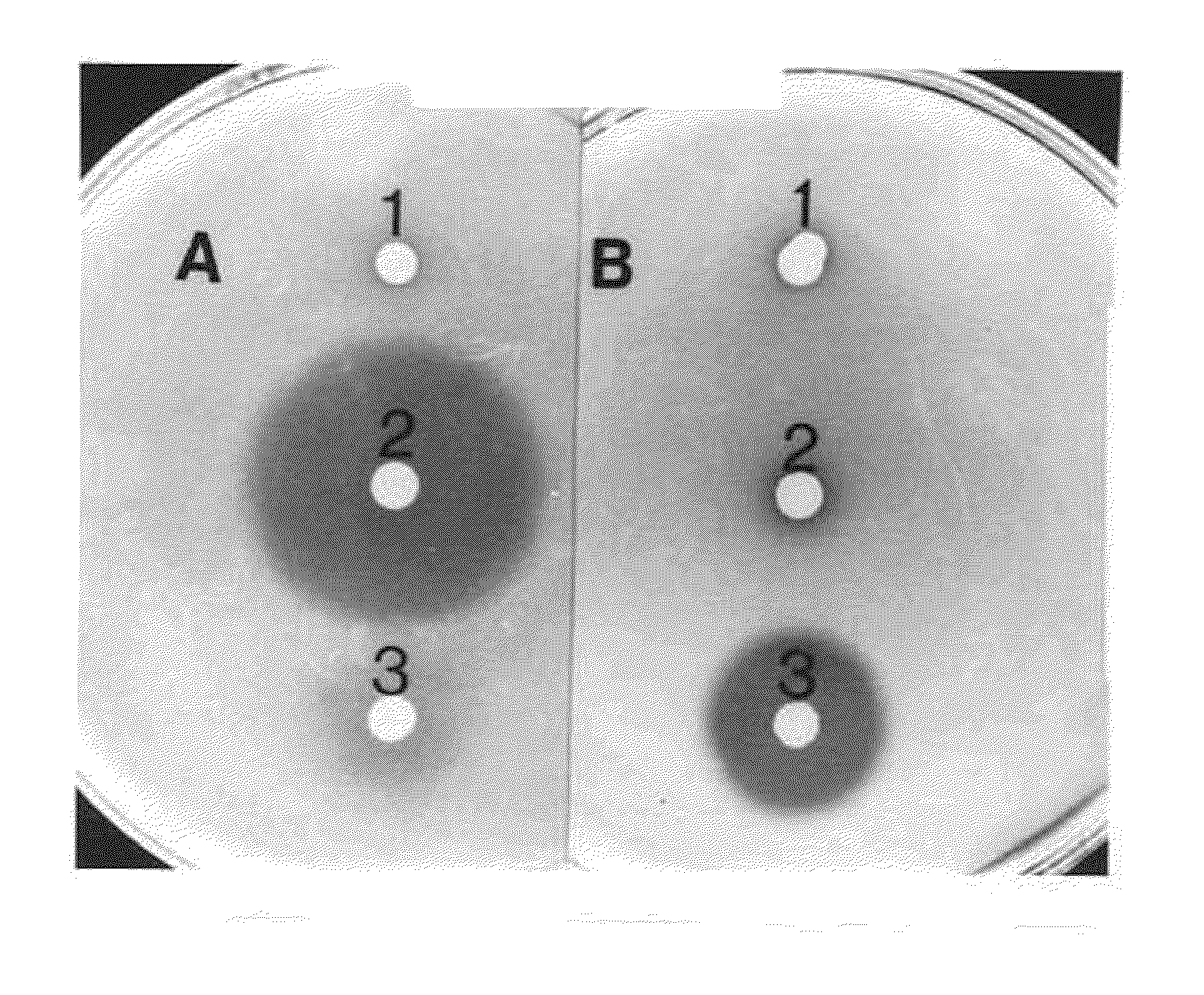 Novel Bacteriocins, Transport and Vector System and Method of Use Thereof