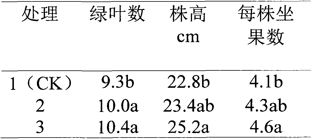 Preparation method for high-activity humic acid biofertilizer