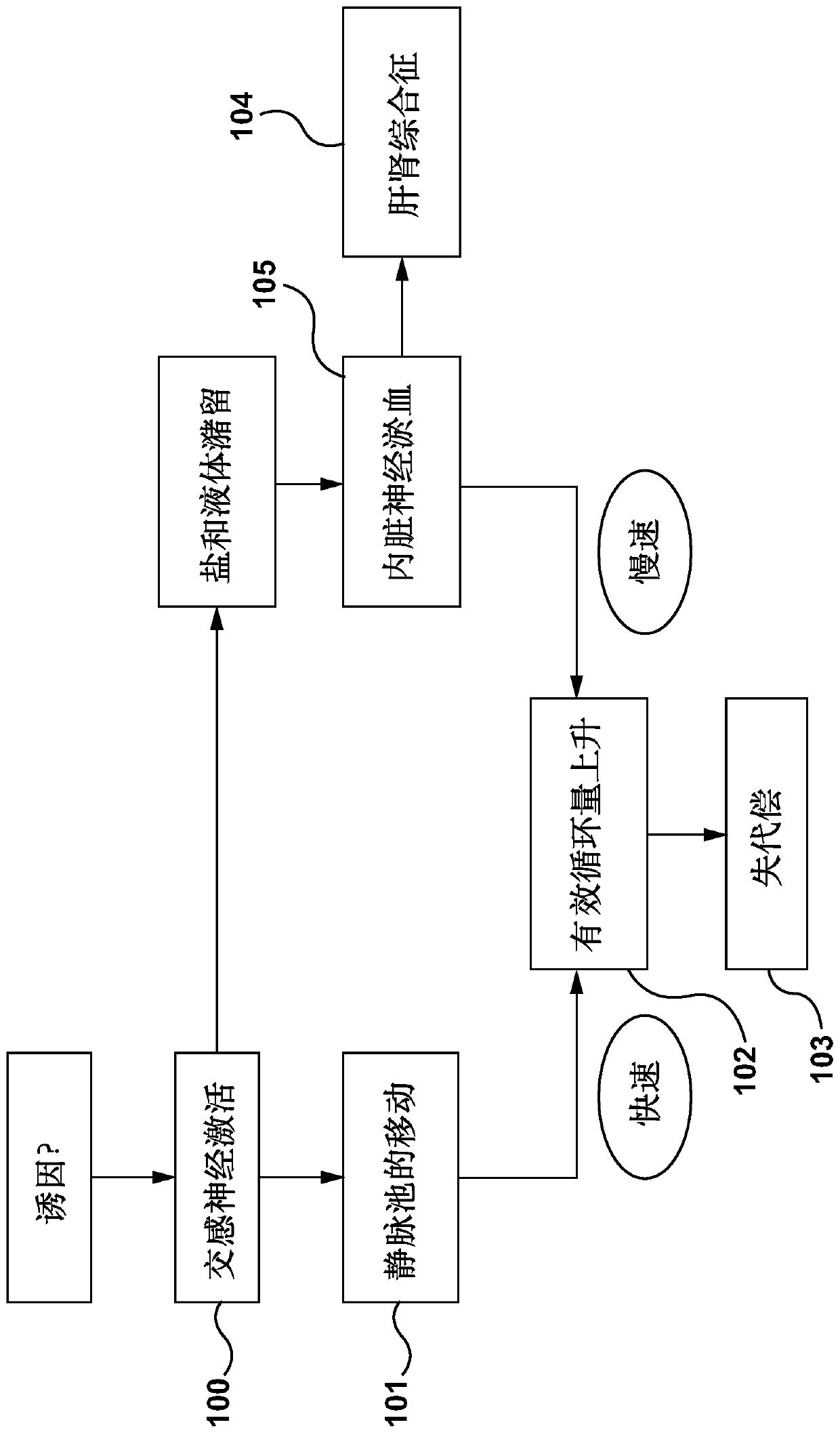 Devices, systems, and methods for treatment of heart failure by splanchnic nerve ablation