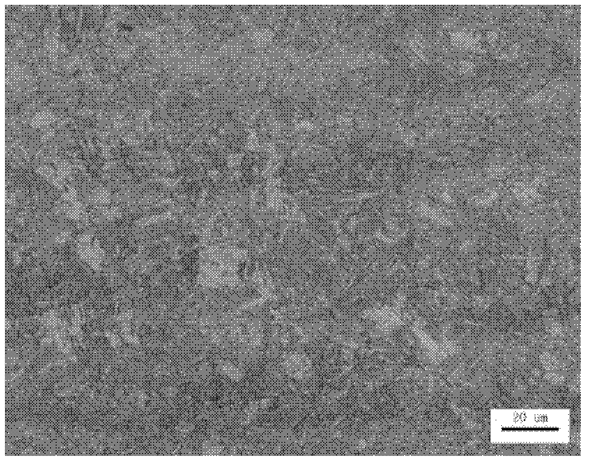 High-strength high-toughness Cu-containing steel and production method thereof