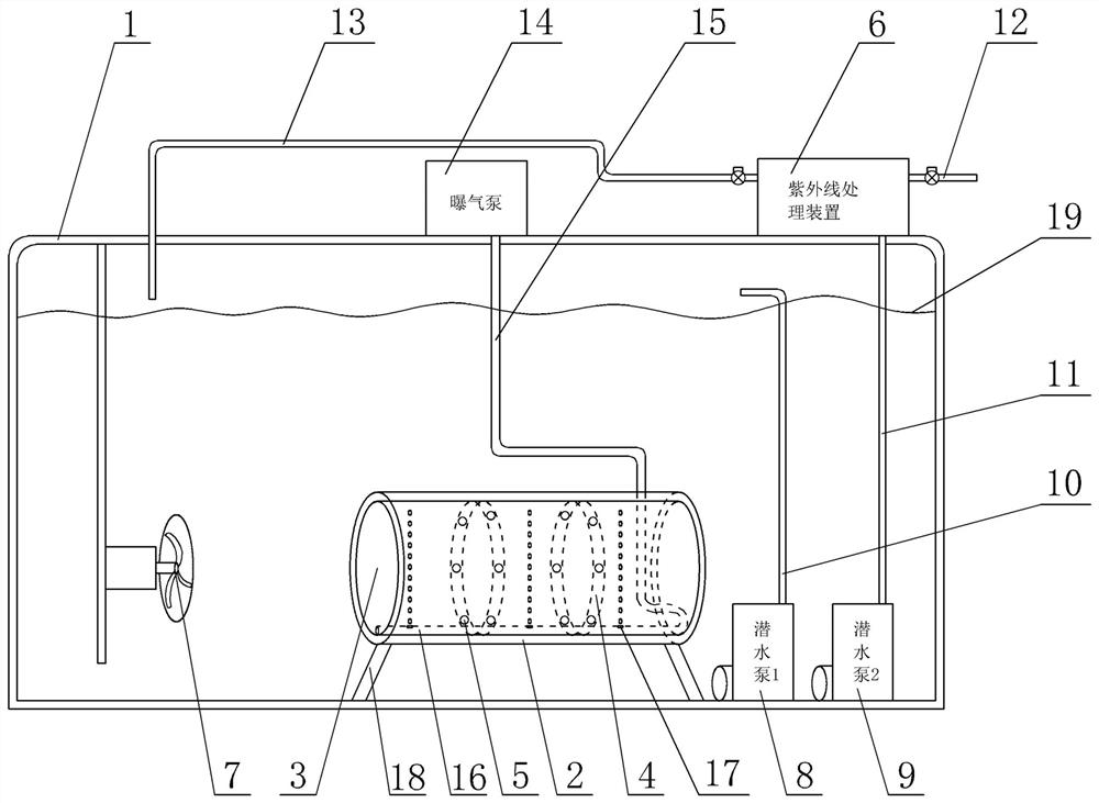 Ballast water algae removal and sterilization device and method based on cesium 137 irradiation and ultraviolet irradiation