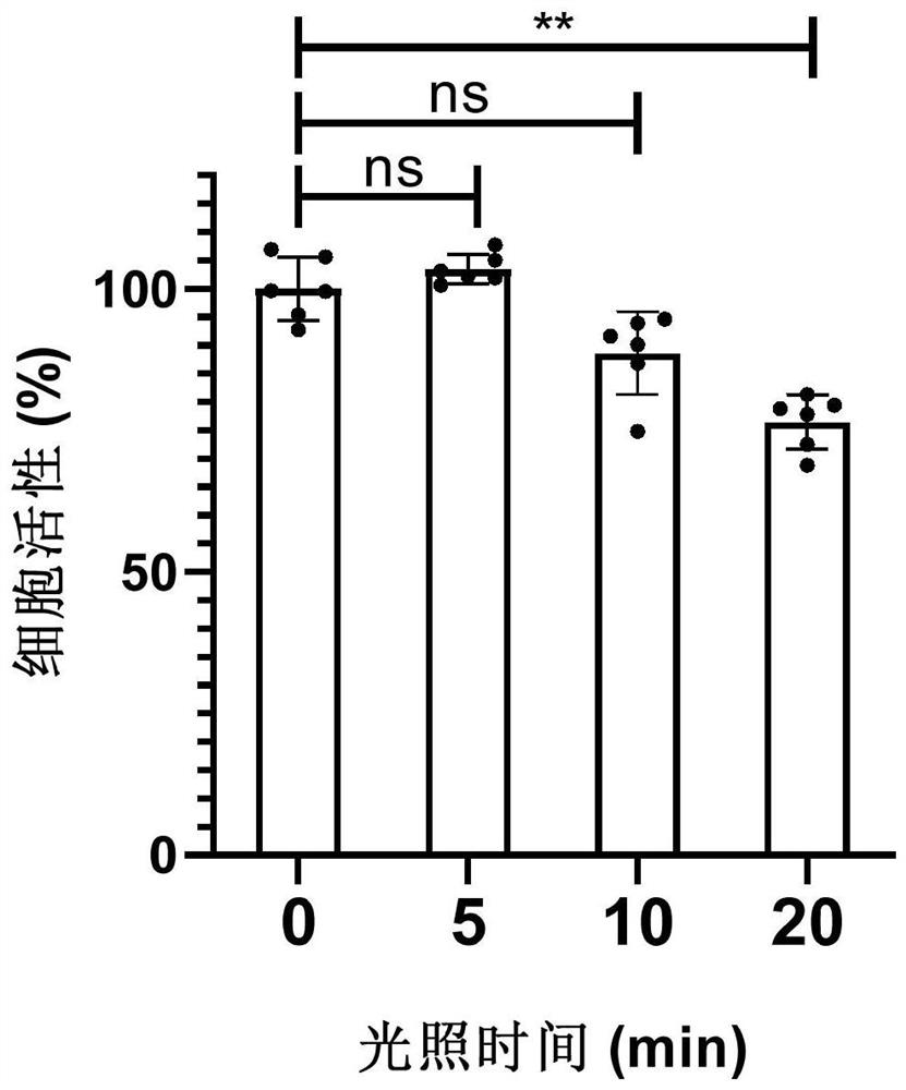 Method for inhibiting cell activity through intracellular polymerization and prodrug for implementing method