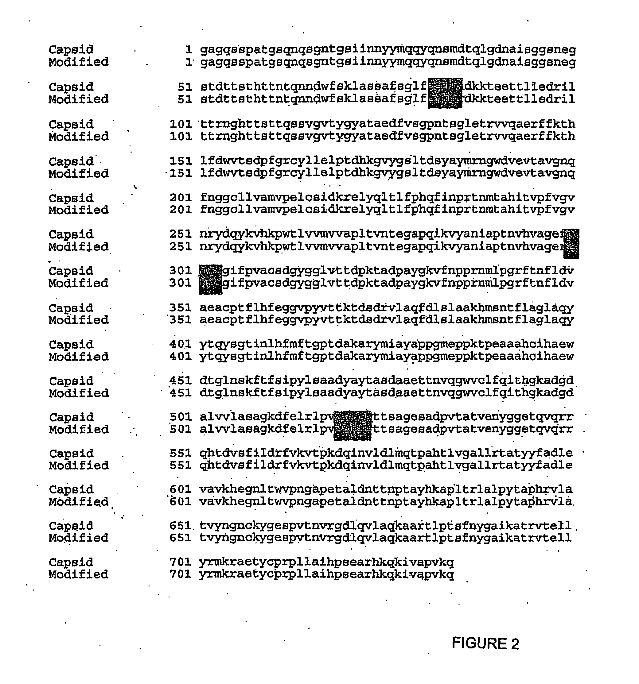 Recombinant Foot and Mouth Disease Vaccine